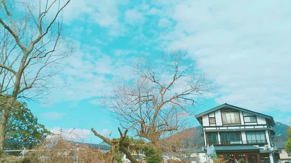 9915A1335A6D7B2005E798