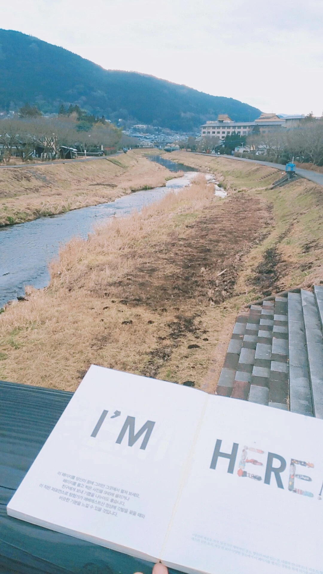 998ADD455A66C98A06D275