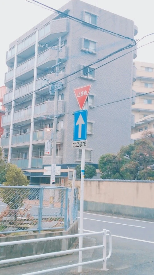 99D6B13D5A66B2103B658A