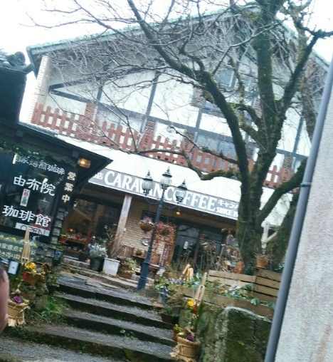 99861B445A6AD5E328449C