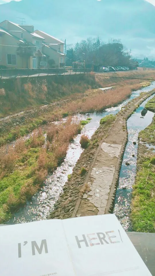 99CF37365A6D7B1E15C71B