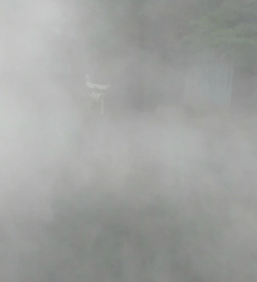 99A48A405A6D7B1A134D17