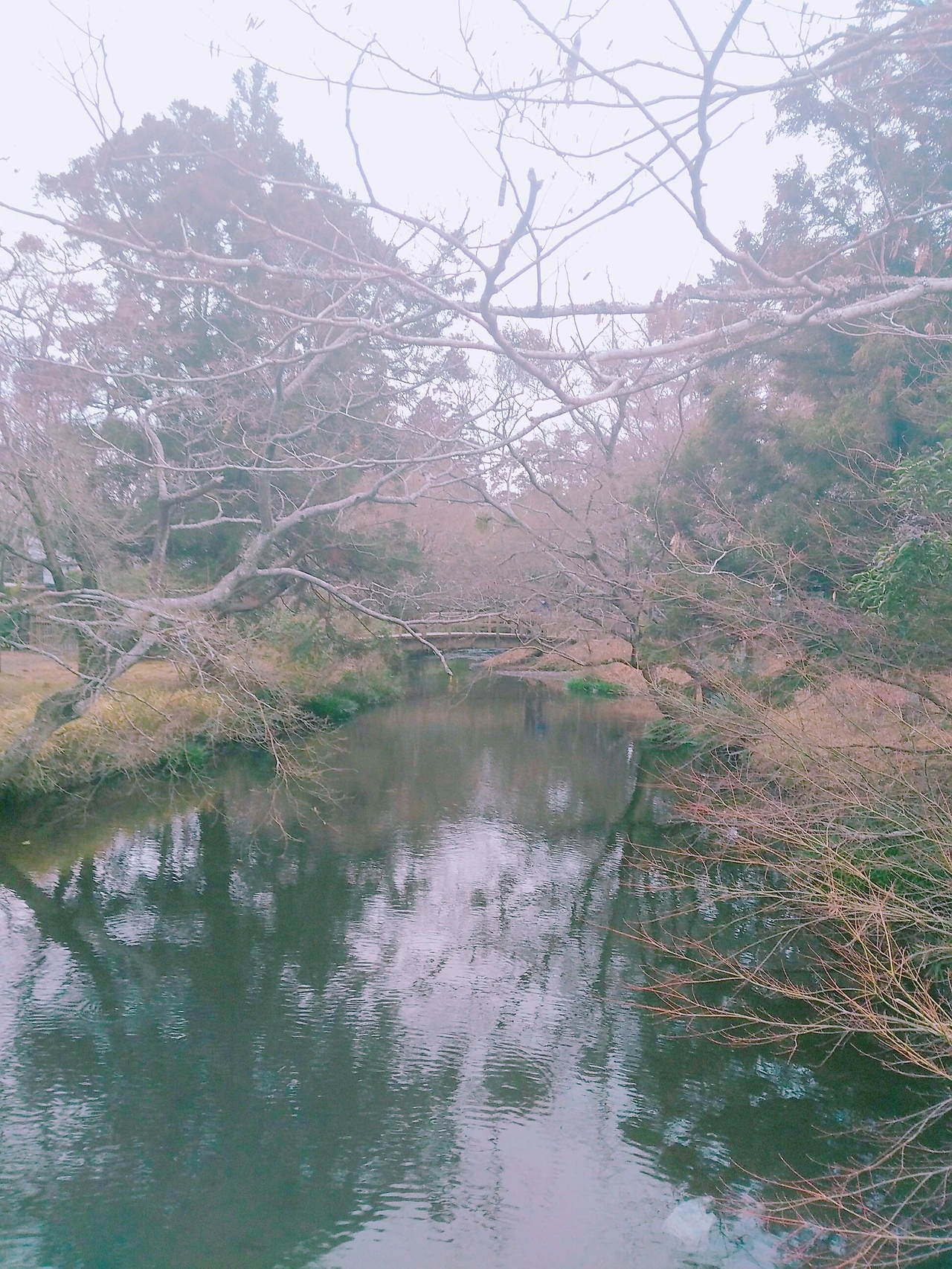 994453465A66C9982EAD0C