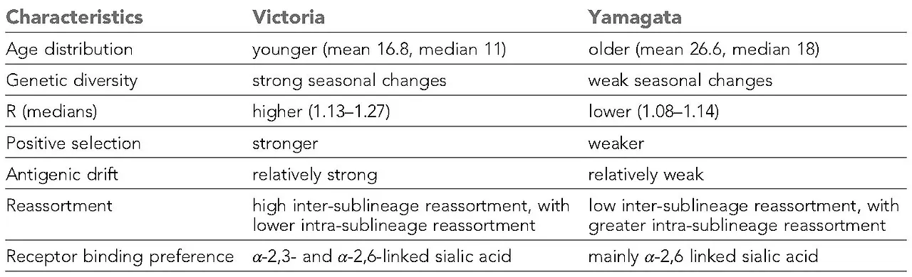 Victoria yamagata 차이.JPG