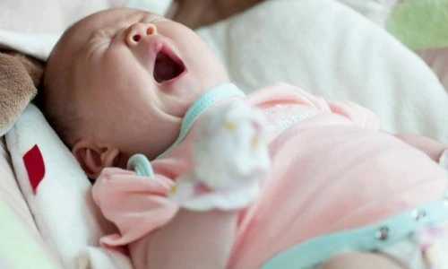 16779cf9-9f27-462a-81d8-23913efa2a25.jpg?t=20231118043430%22&type=ff500_300