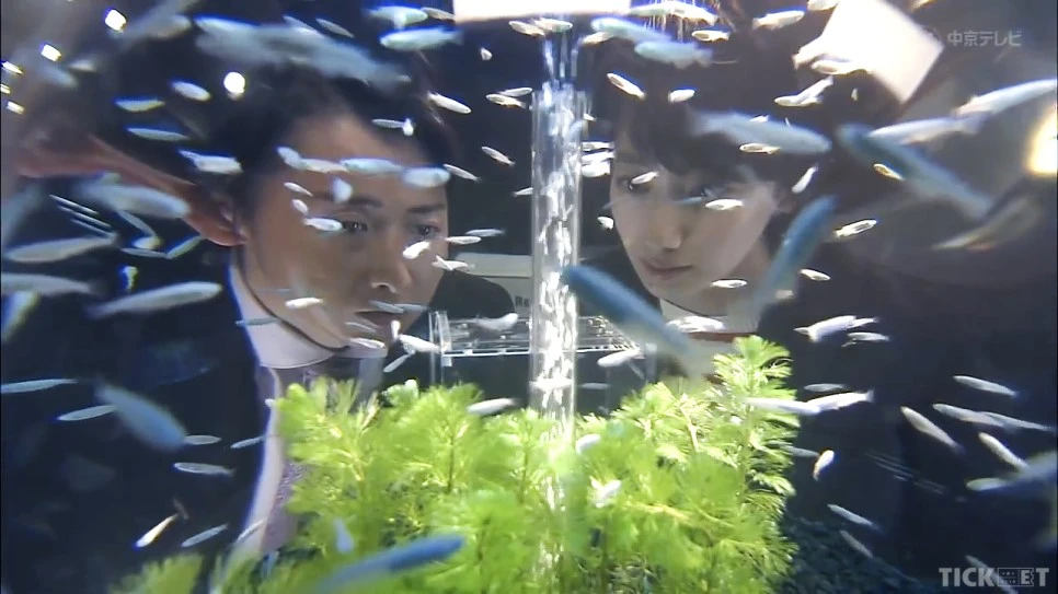 Sequence_01.23.Still005.jpg?type=w966