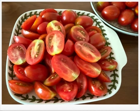 SE-28376594-b296-436f-84d6-d2560c1d36b3.jpg?type=w466