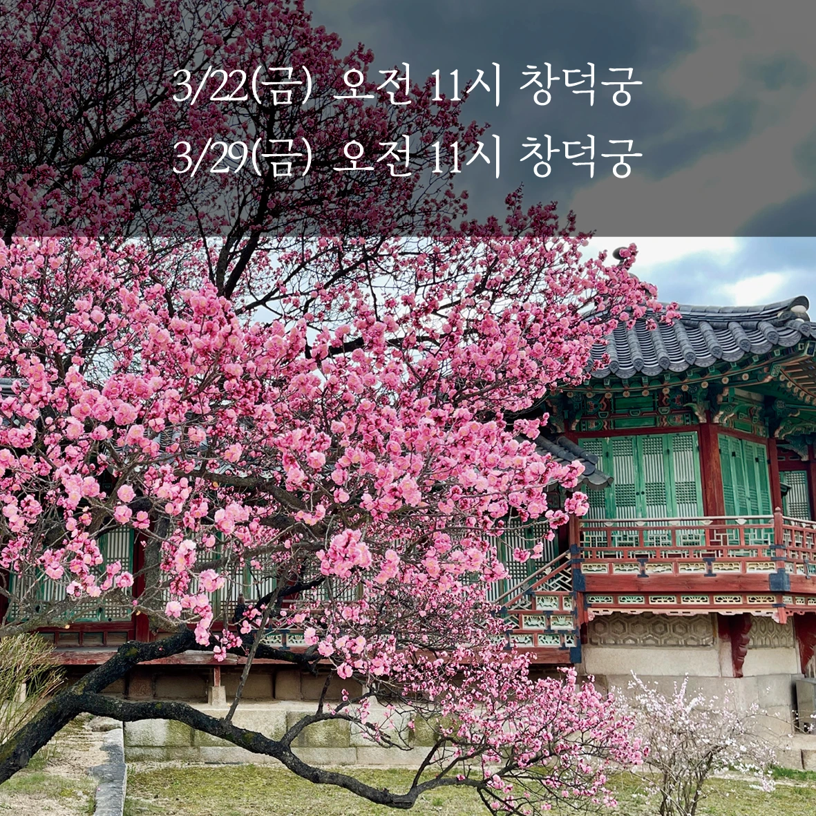 E240311 01a참가 모집 포스터(67차 창덕궁) 이미지02.jpeg