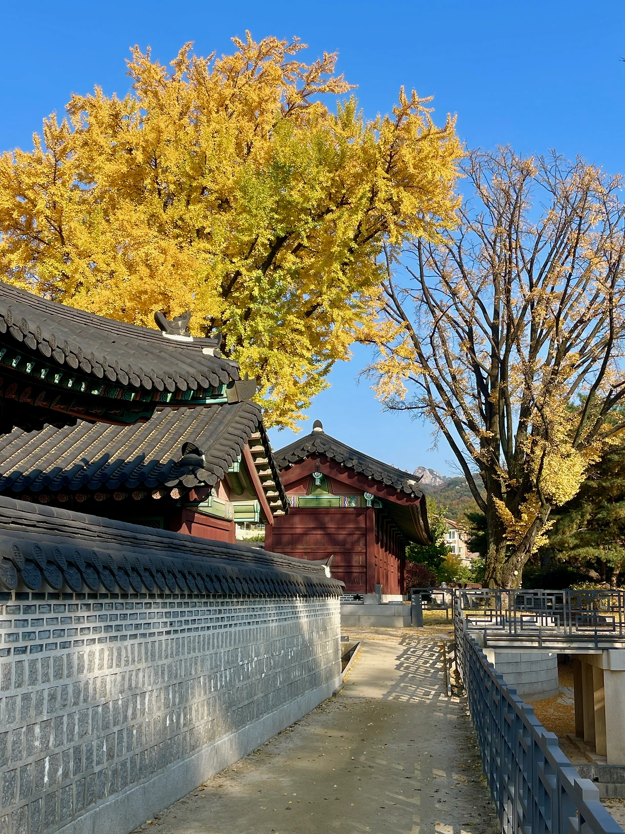 즐겨찾기 - 1.jpeg