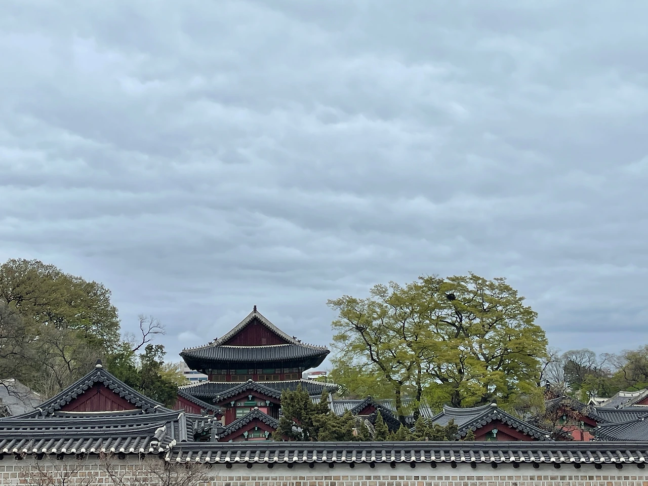 창덕궁1길에서 본 서쪽 담장 - 12.jpeg