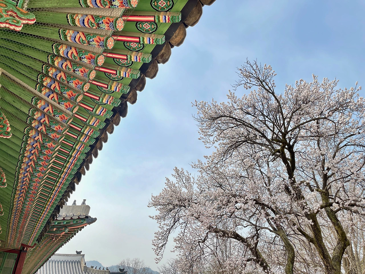 자경전 - 7.jpeg