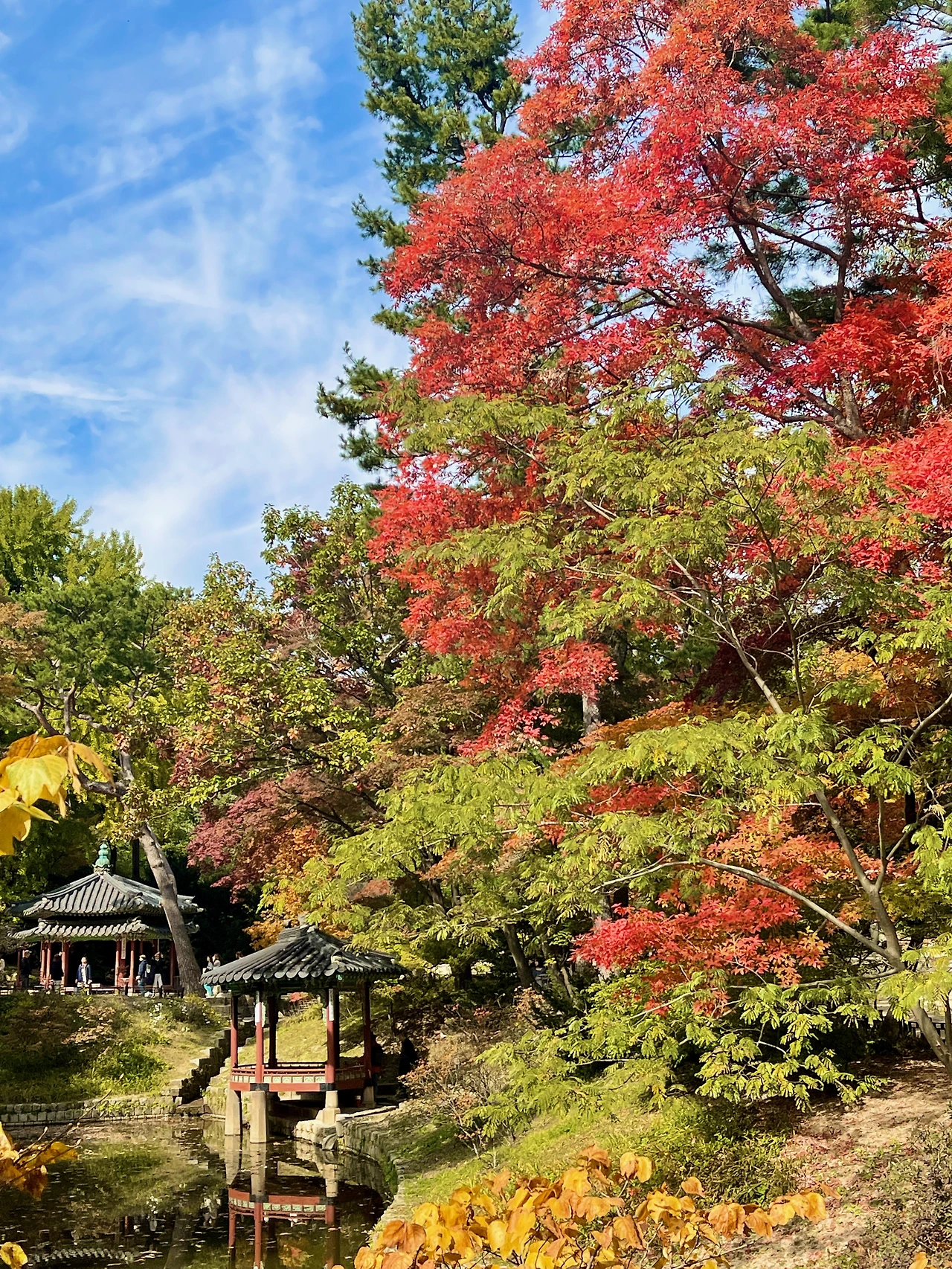 2022년 가을 창덕궁 후원 풍경(대표 사진) - 8.jpeg