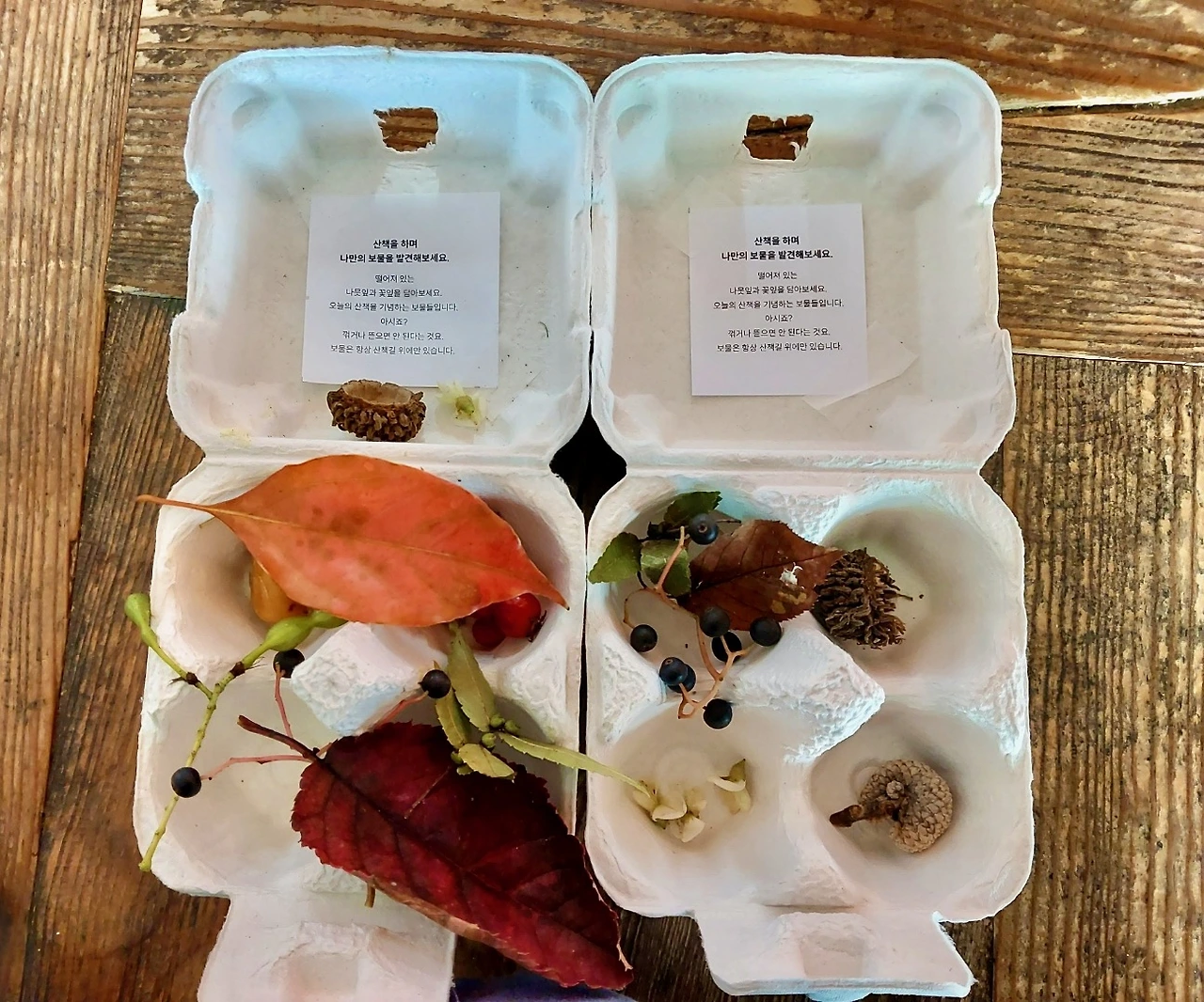 32차 궁걷시 - 3.jpeg