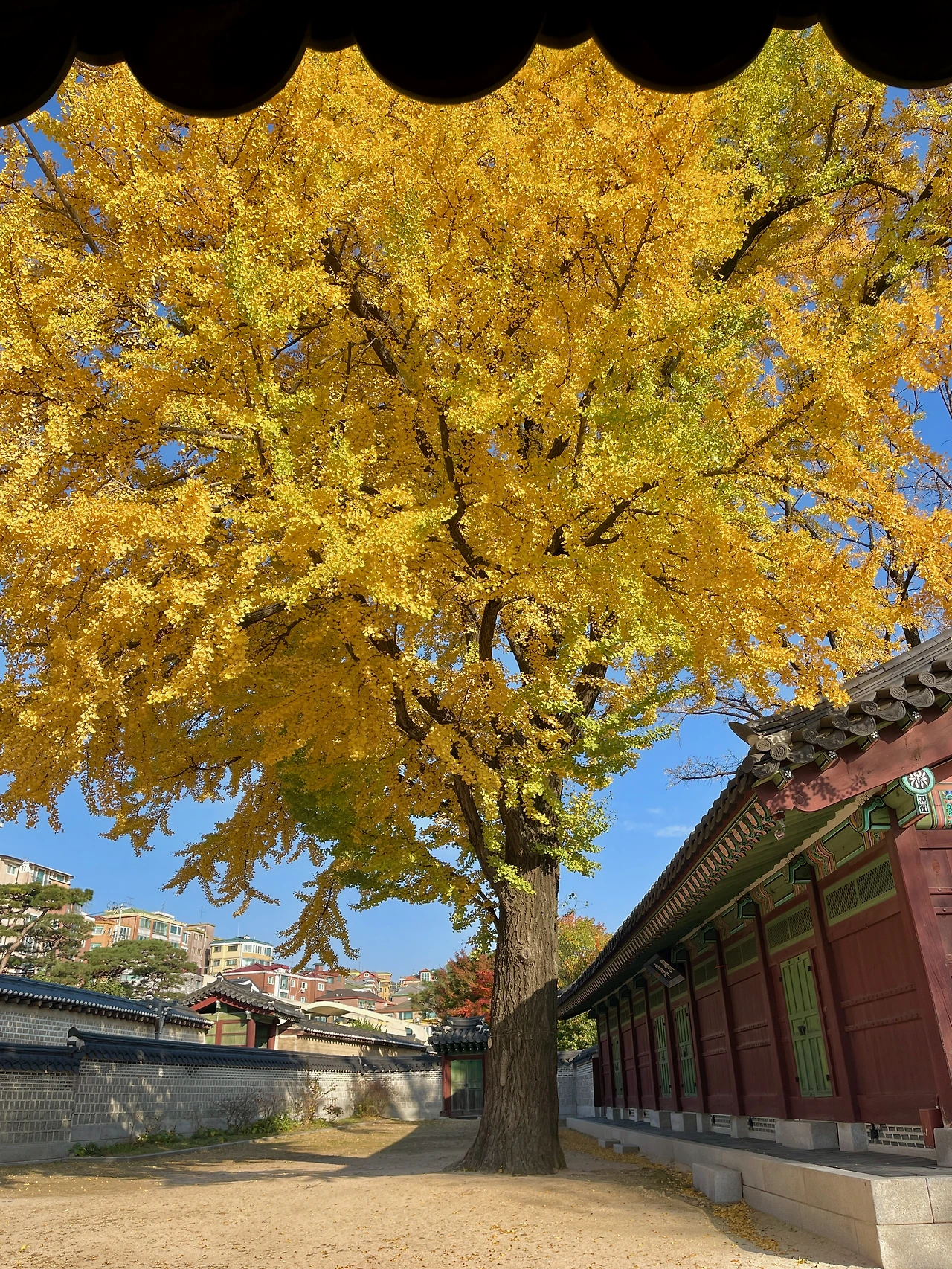 즐겨찾기 - 2.jpeg