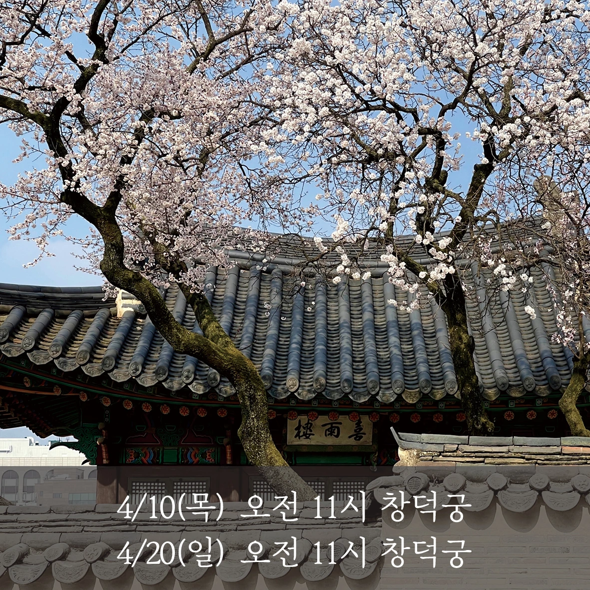 E250326 01a참가 모집 포스터(92&94차 창덕궁)02.jpeg