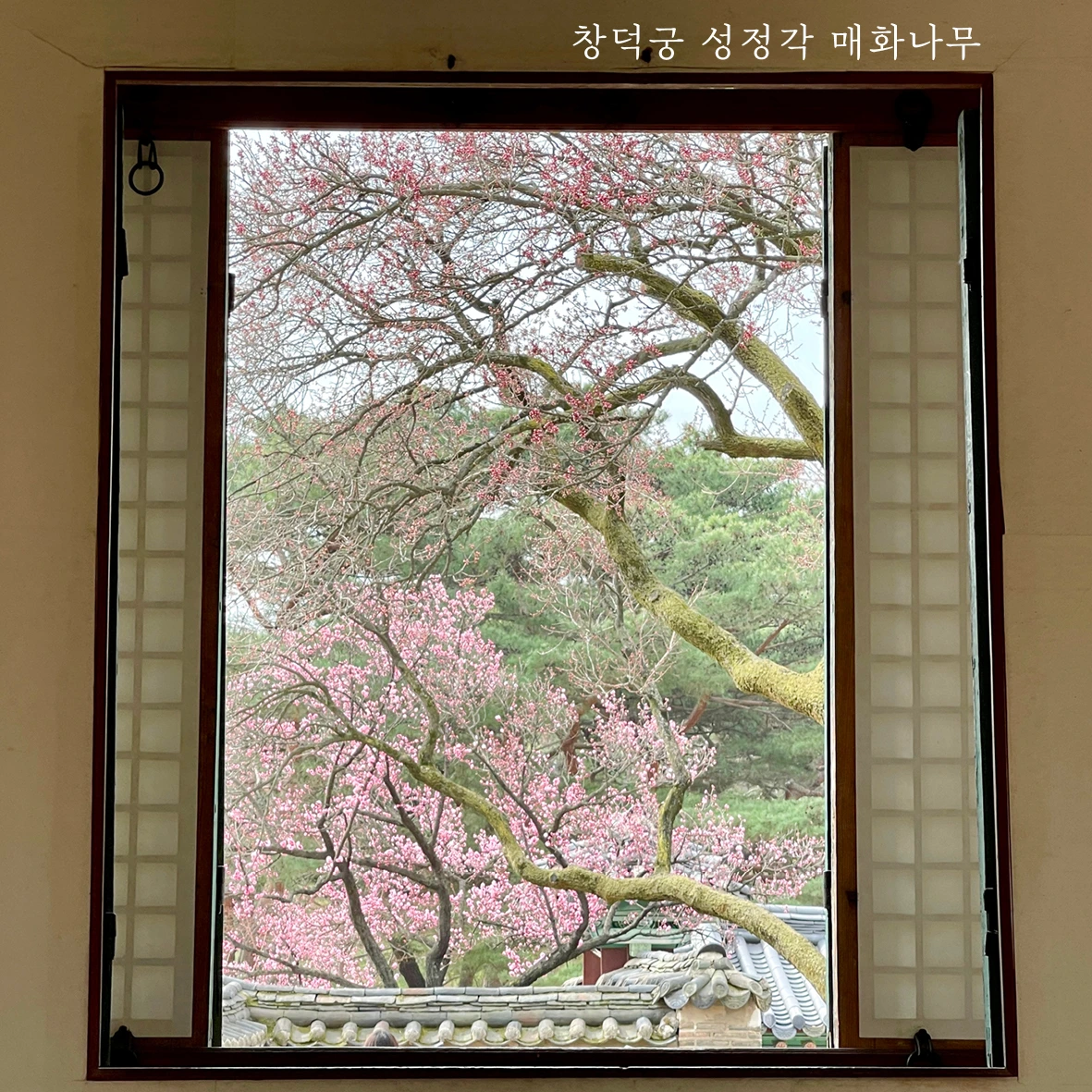 01참가 모집 포스터(51~54차 다섯 궁궐)07.jpeg