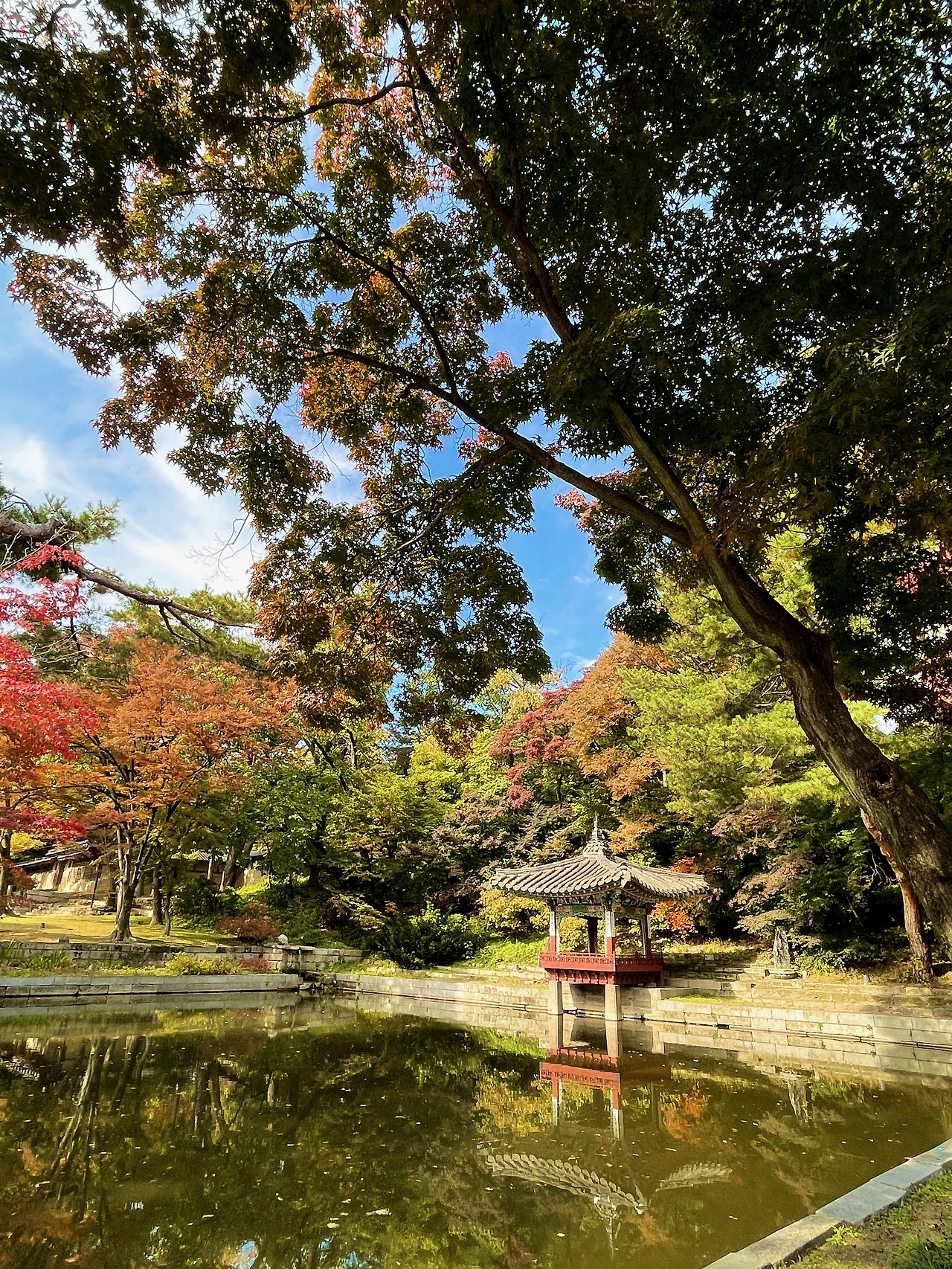 2022년 가을 창덕궁 후원 풍경(대표 사진) - 9.jpeg