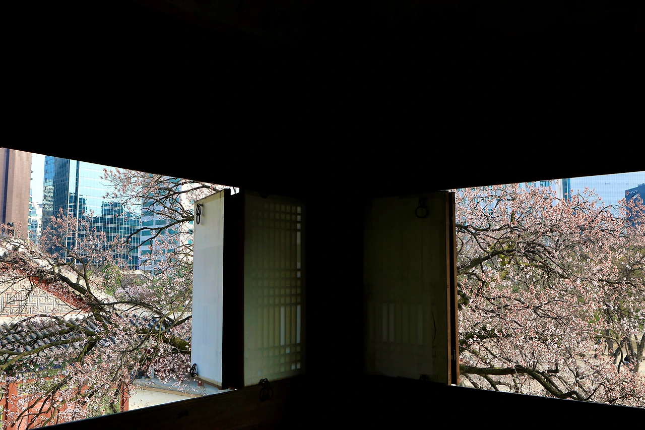 석어당 내부 특별관람 - 7.jpeg