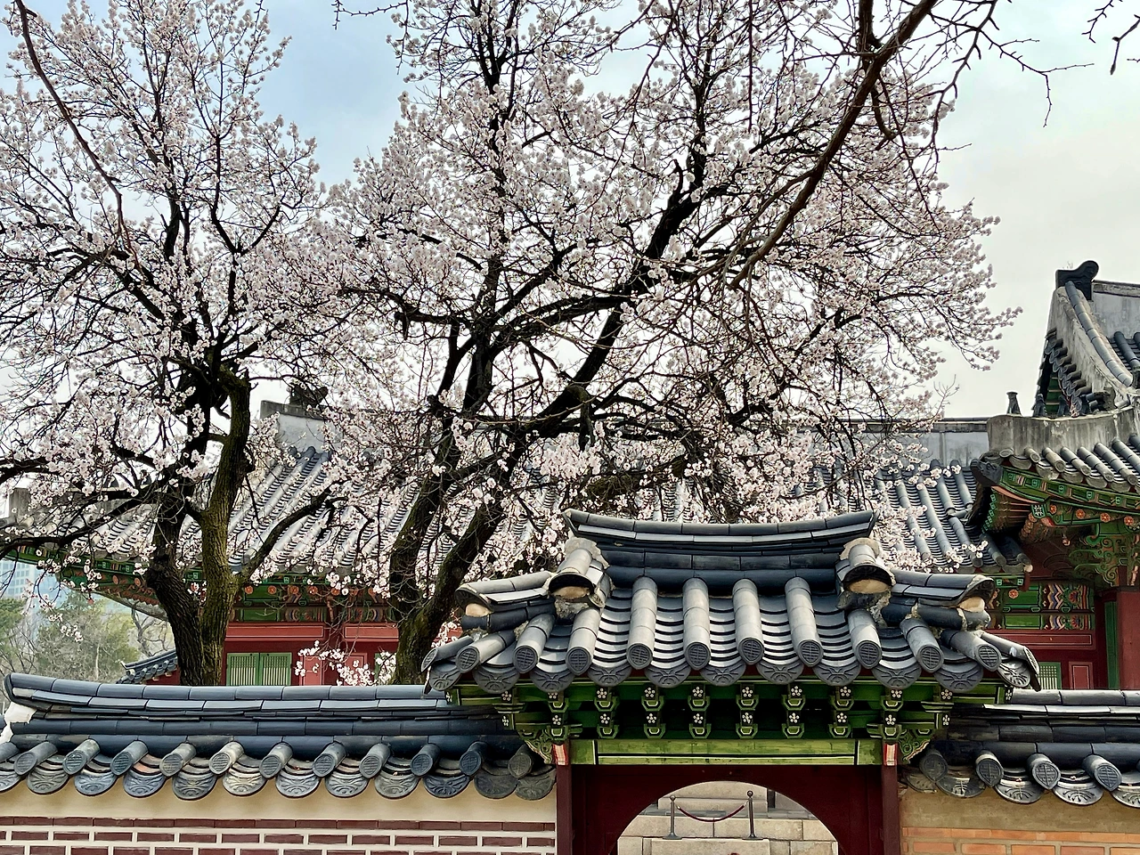 자경전 - 1.jpeg