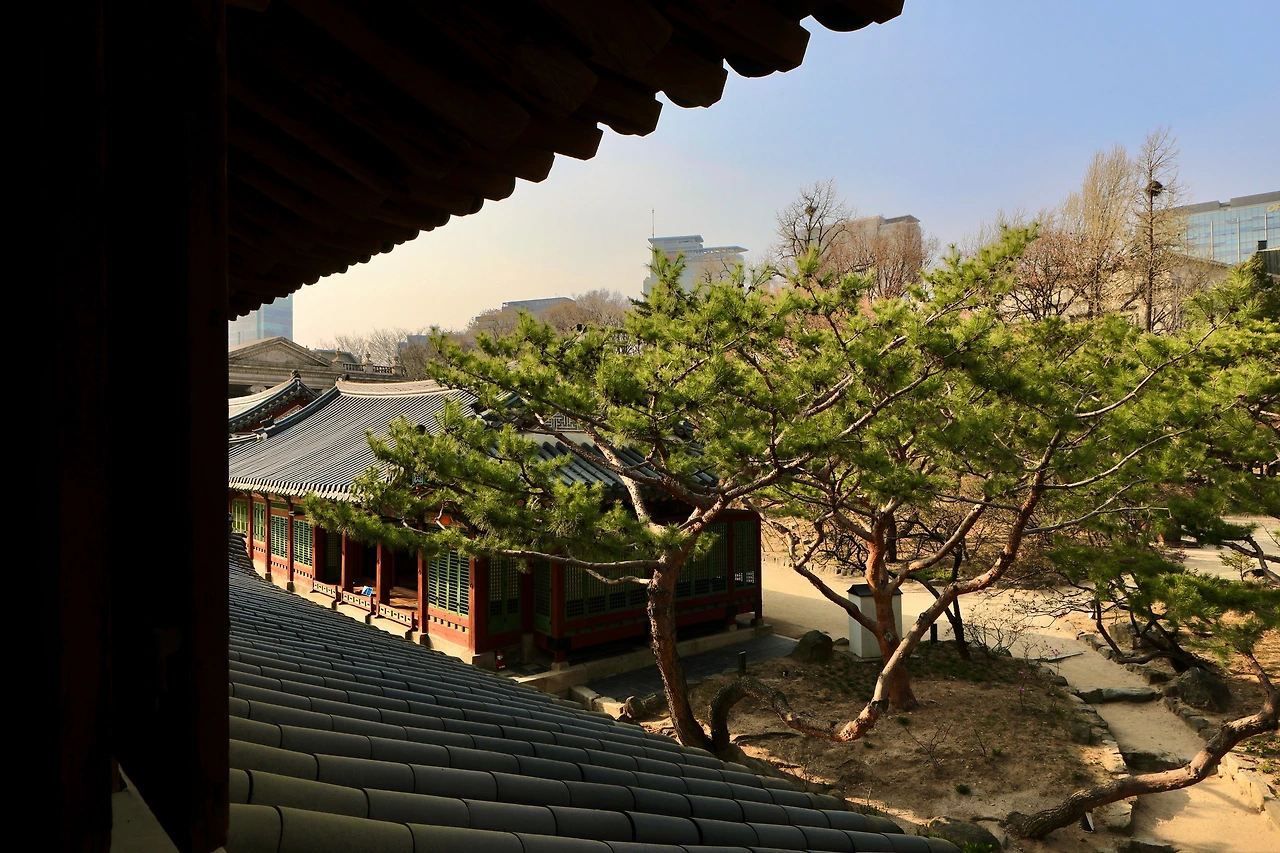 석어당 내부 특별관람 - 3.jpeg