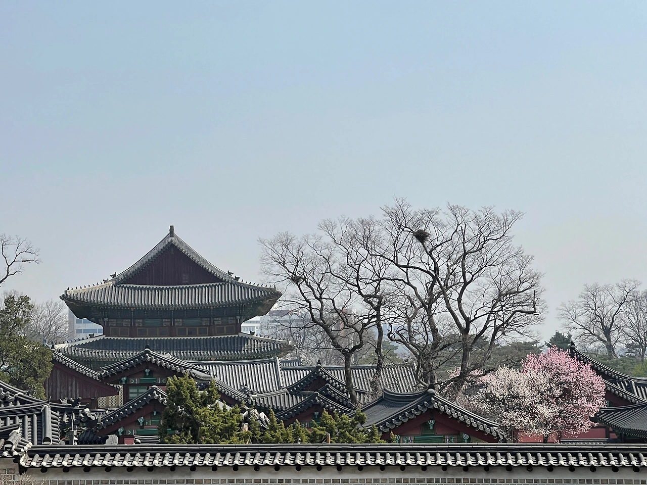 창덕궁1길에서 본 서쪽 담장 - 9.jpeg