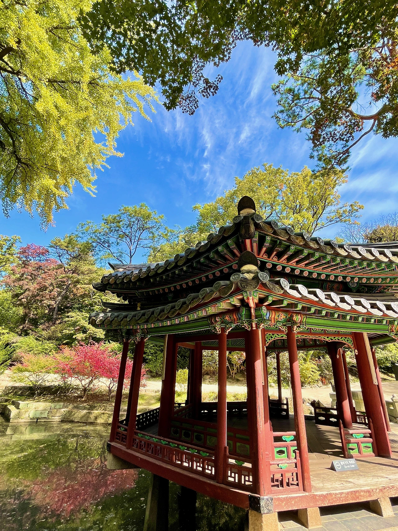 2022년 가을 창덕궁 후원 풍경(대표 사진) - 6.jpeg