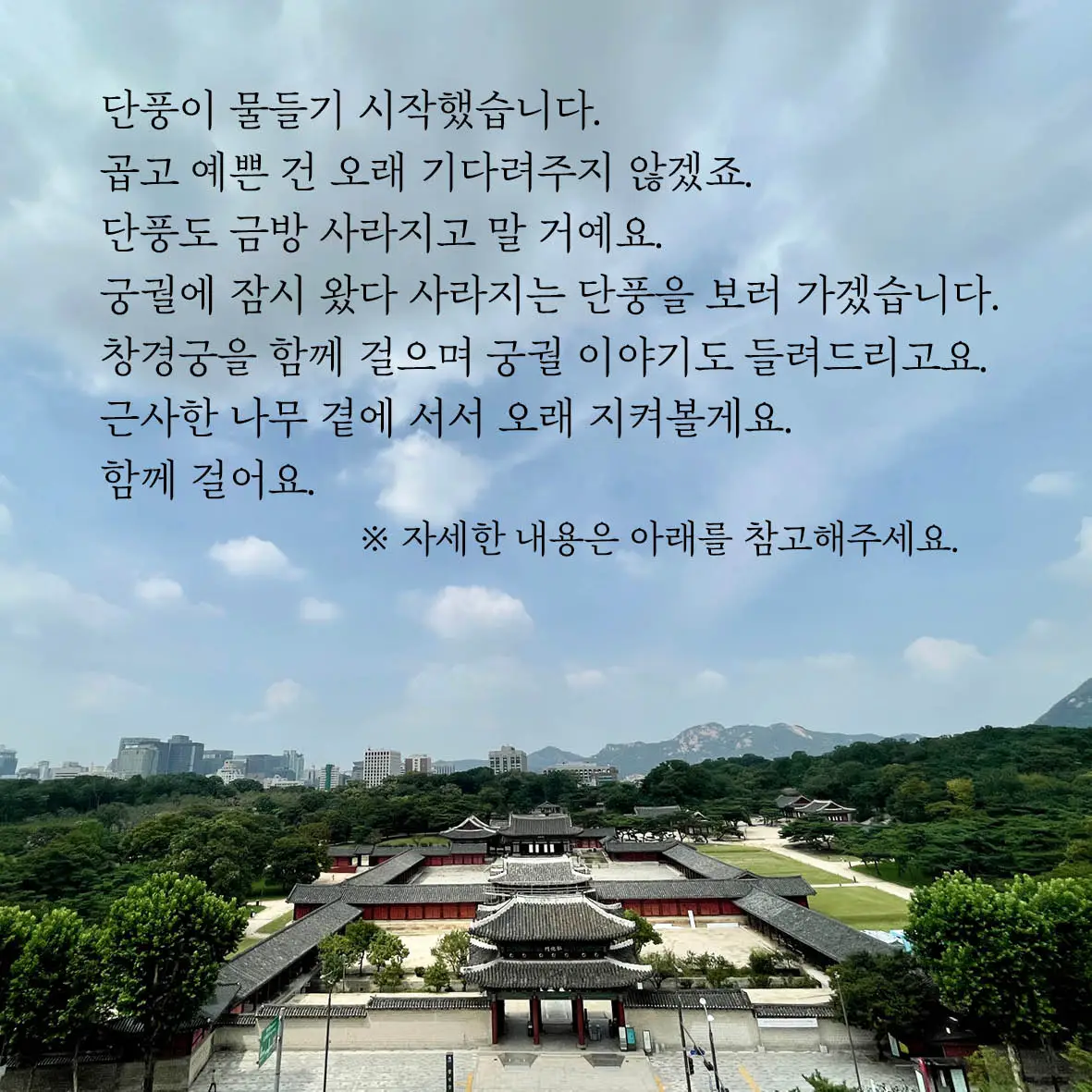 E231028 01참가 모집 포스터(65&66차 창경궁)03.jpeg