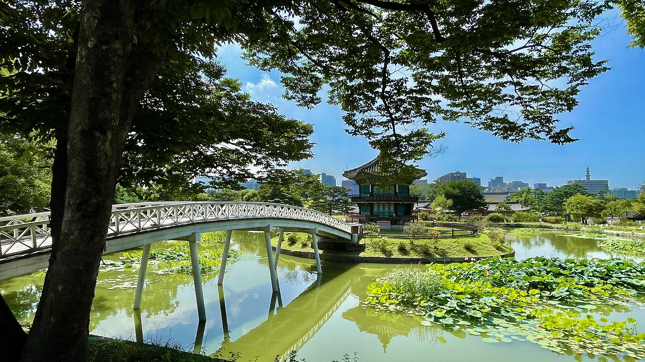 230901 경복궁 향원정 답사 - 1.jpeg