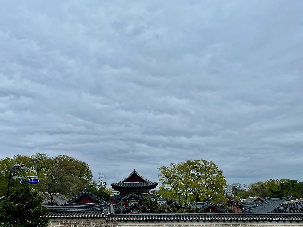 창덕궁1길에서 본 서쪽 담장 - 11.jpeg