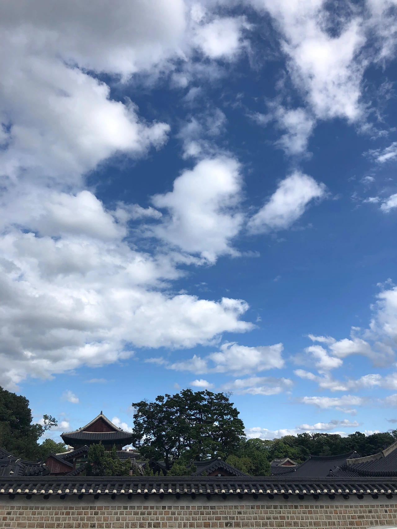 창덕궁1길에서 본 서쪽 담장 - 7.jpeg