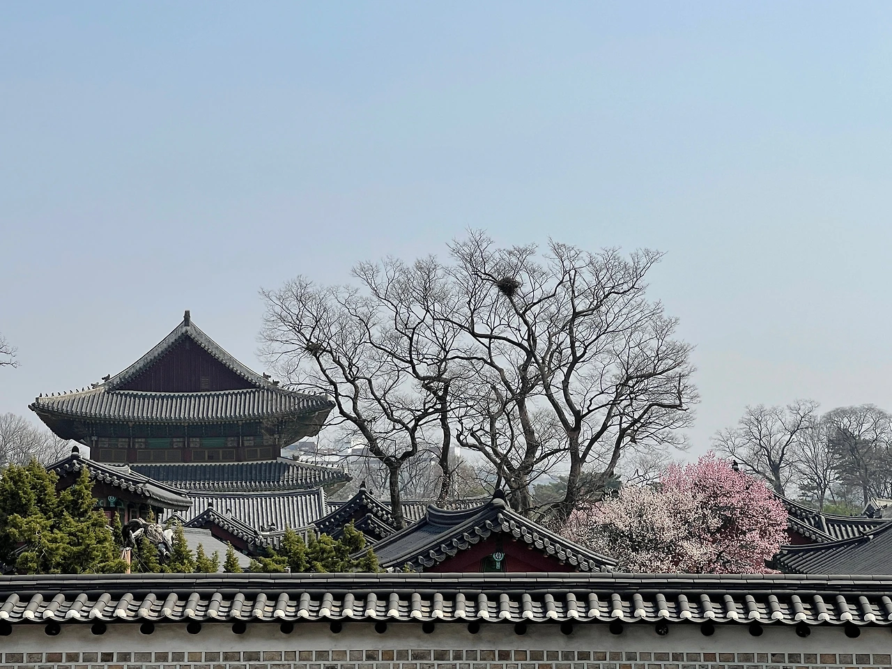 창덕궁1길에서 본 서쪽 담장 - 10.jpeg