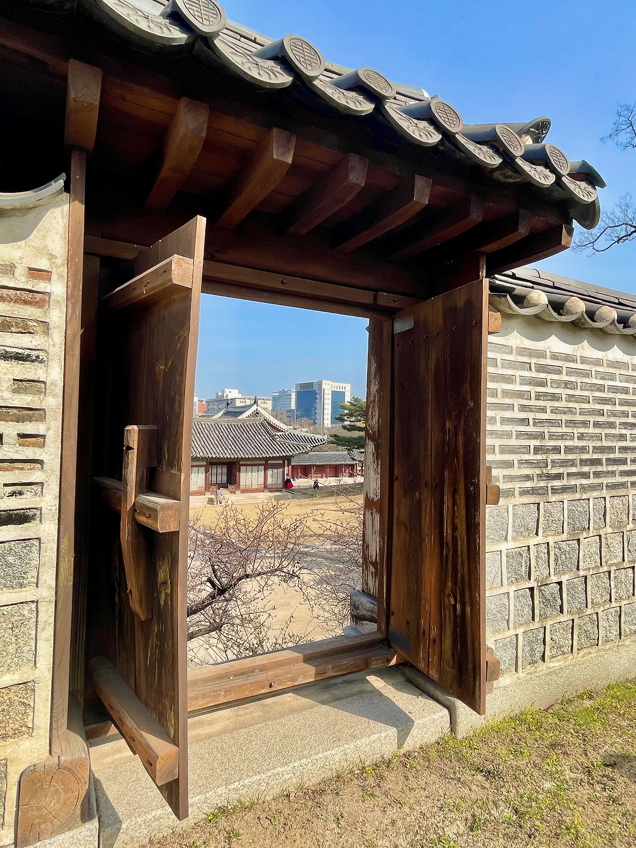 창덕궁 취운정에서 본 창경궁 풍경 - 8.jpeg