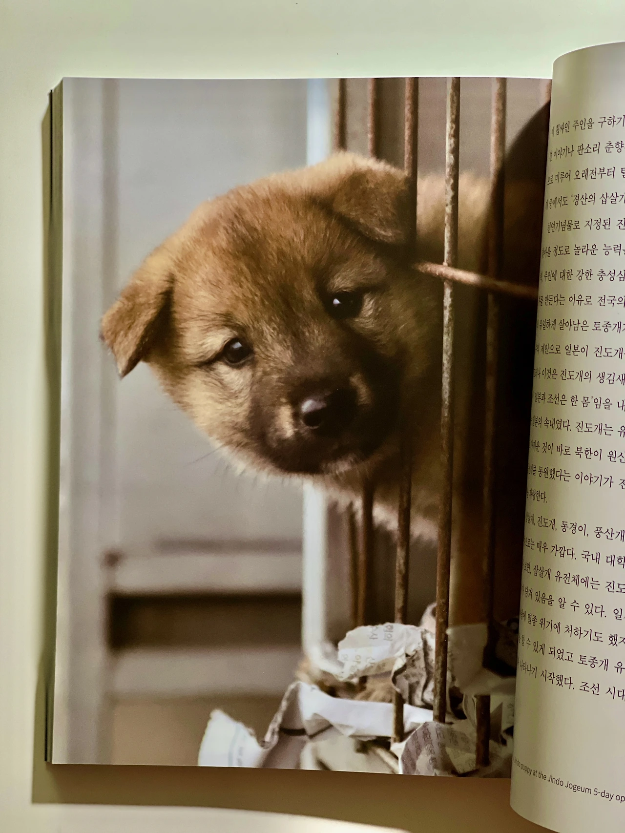 사진으로 보는 우리 문화유산 - 1 (1).jpeg