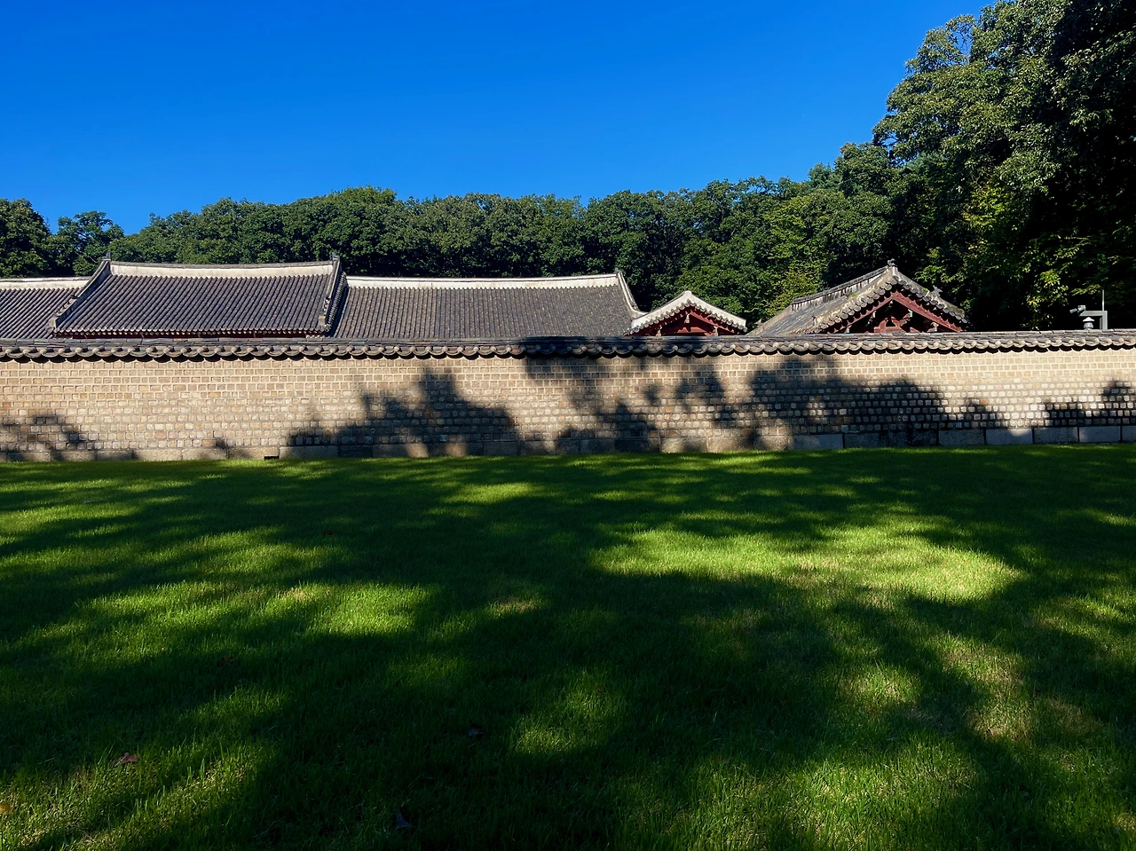 종묘 영녕전_가을 풍경 - 1.jpeg