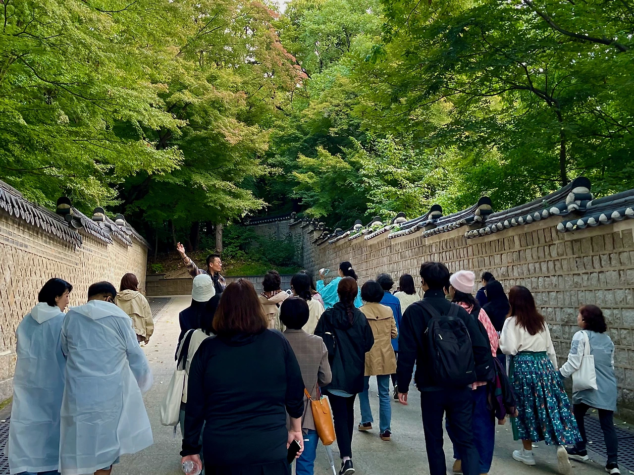 241010목 81차 궁중문화축전 아침 궁을 깨우다(2일차) - 3.jpeg