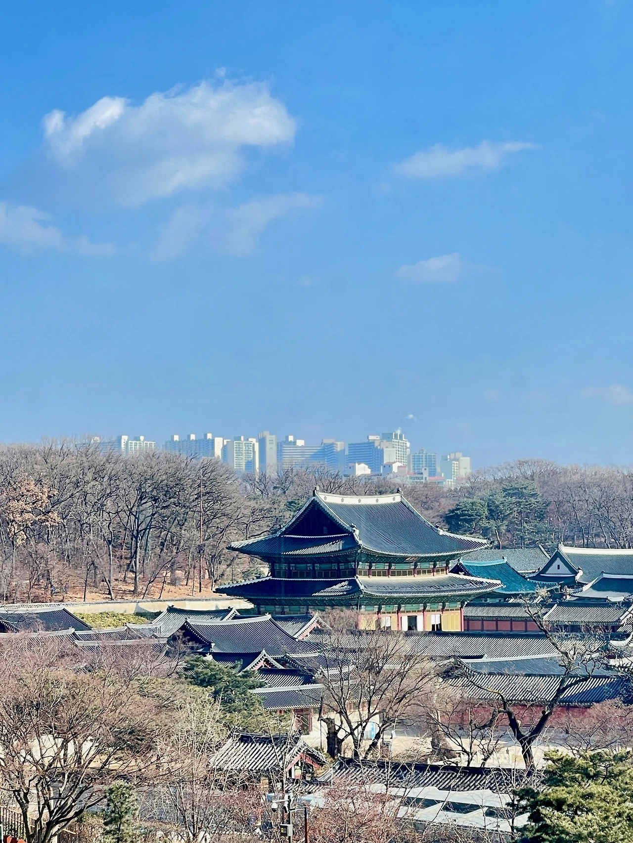 220216 창덕궁 전경 사진(부감샷) - 5.jpeg