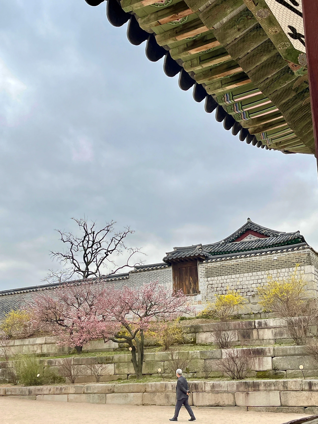 창덕궁 취운정에서 본 창경궁 풍경 - 6.jpeg