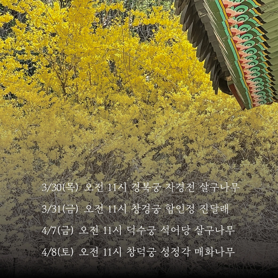 01참가 모집 포스터(51~54차 다섯 궁궐)02.jpeg