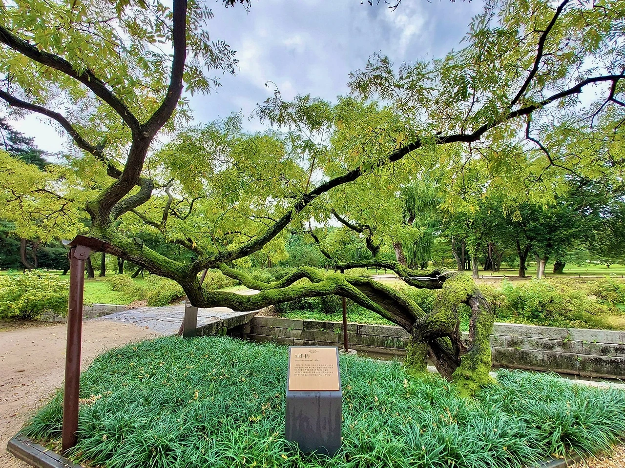 32차 궁걷시 - 5.jpeg