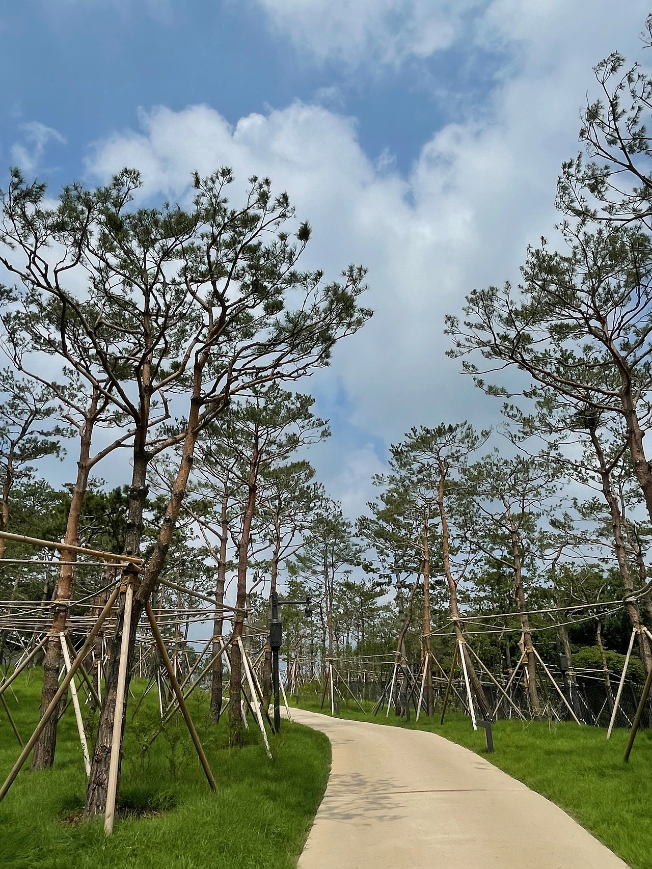 09궁궐담장길 - 7.jpeg