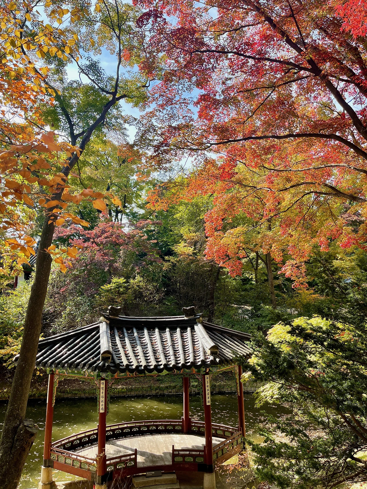 2022년 가을 창덕궁 후원 풍경(대표 사진) - 7.jpeg