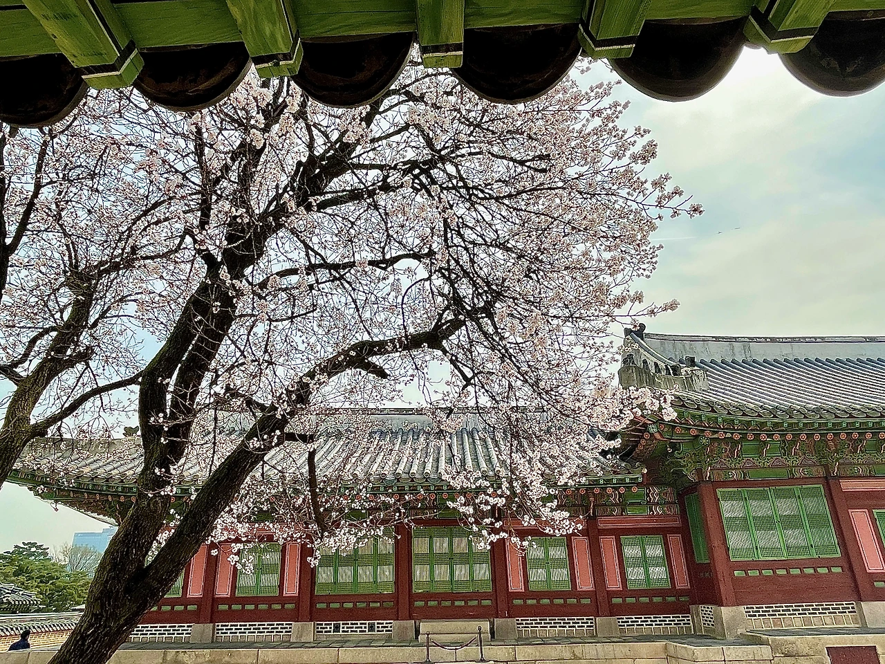 자경전 - 3.jpeg