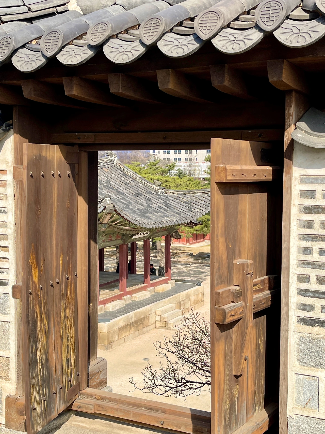 창덕궁 취운정에서 본 창경궁 풍경 - 7.jpeg