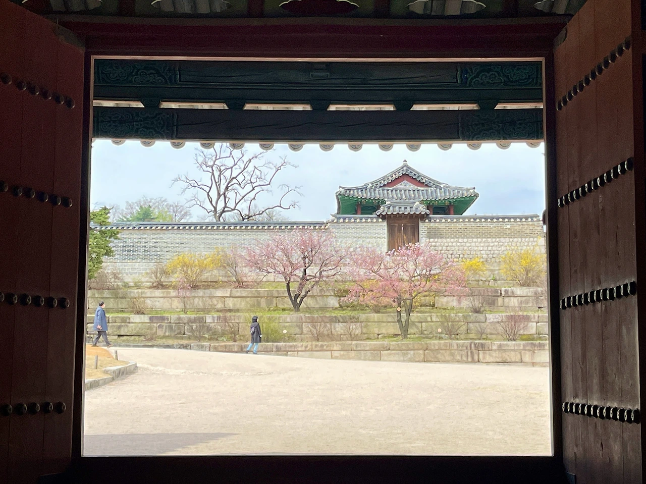 창덕궁 취운정에서 본 창경궁 풍경 - 1.jpeg