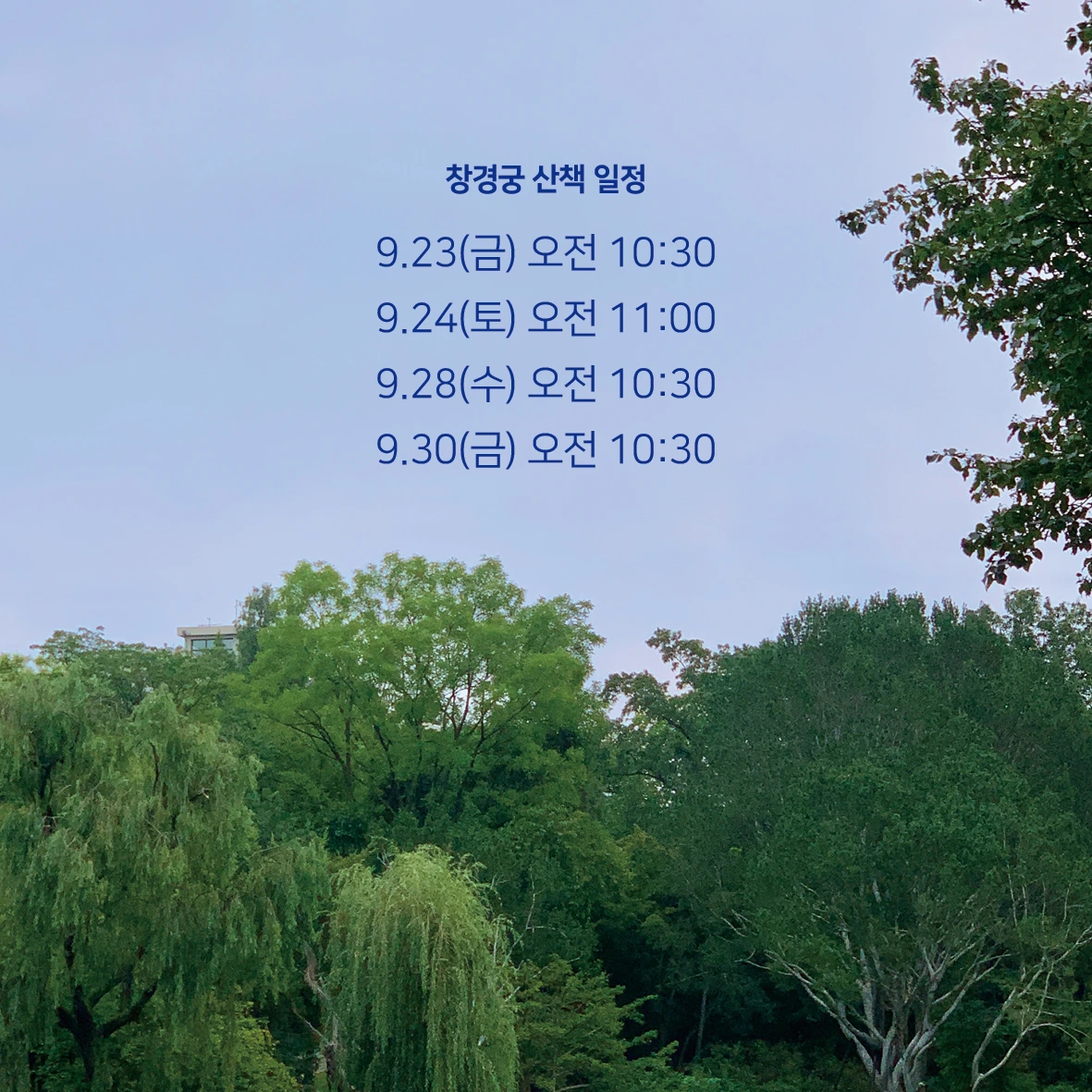 E220824 01참가 모집 포스터(32~35차 창경궁 나무 산책)02.jpeg