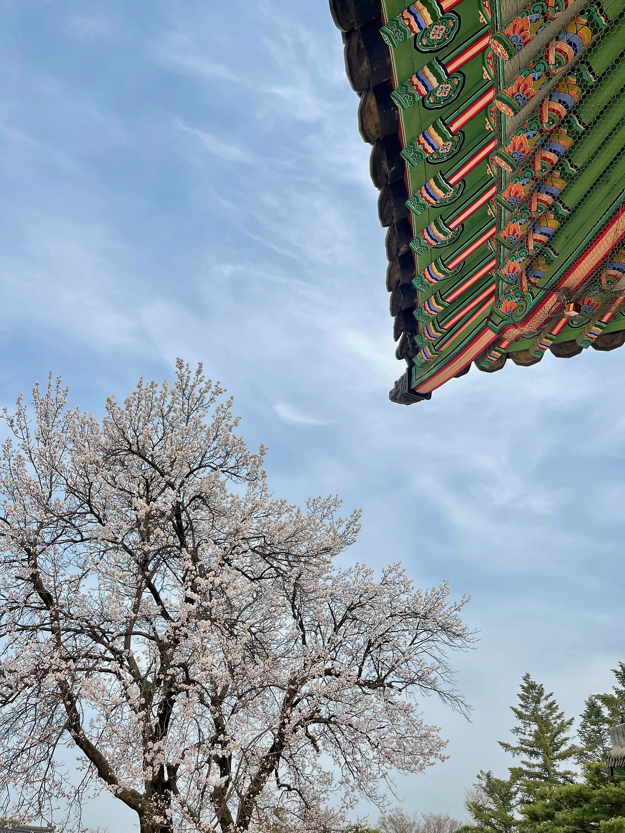 자경전 - 4.jpeg