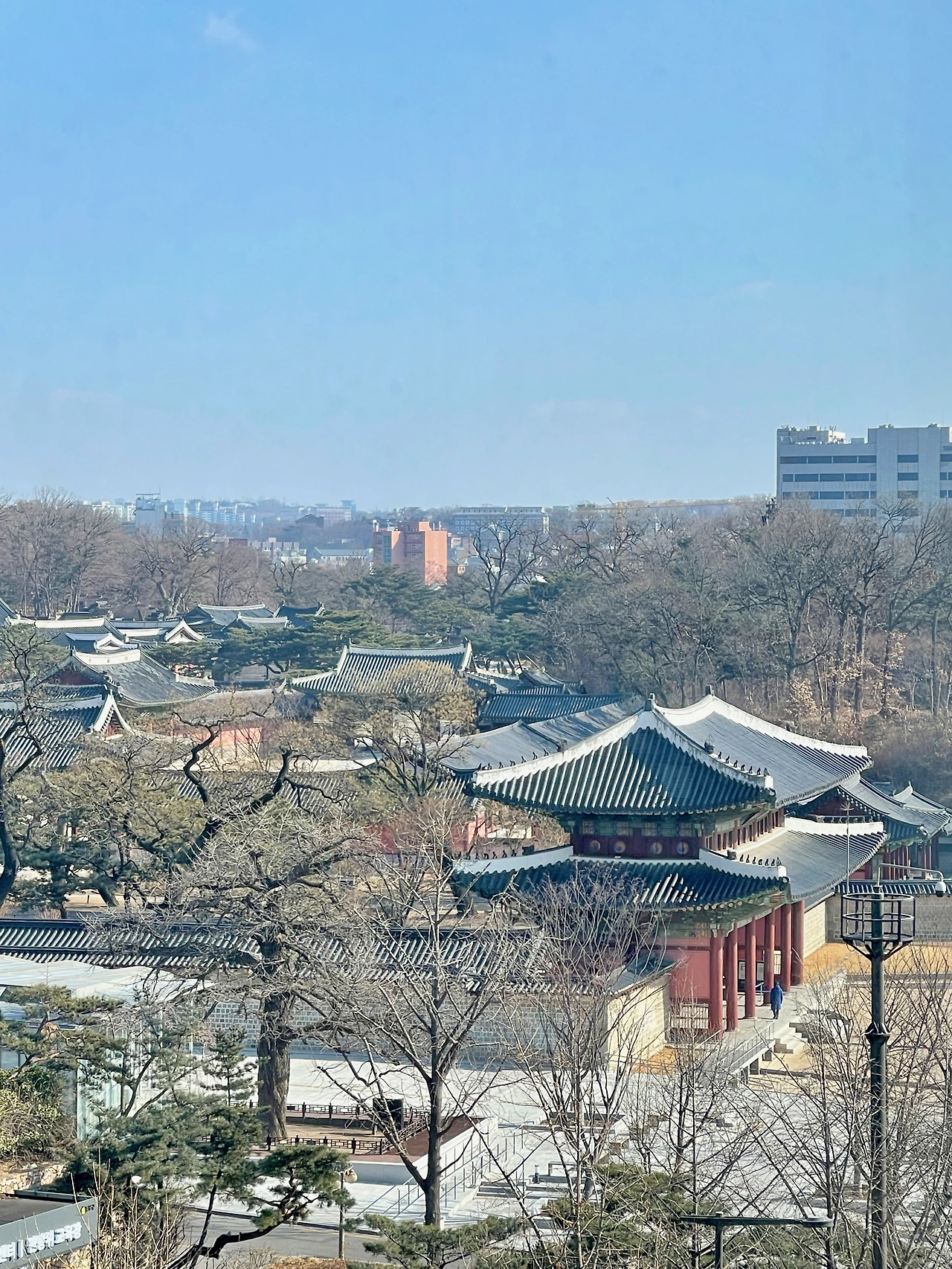 220216 창덕궁 전경 사진(부감샷) - 6.jpeg