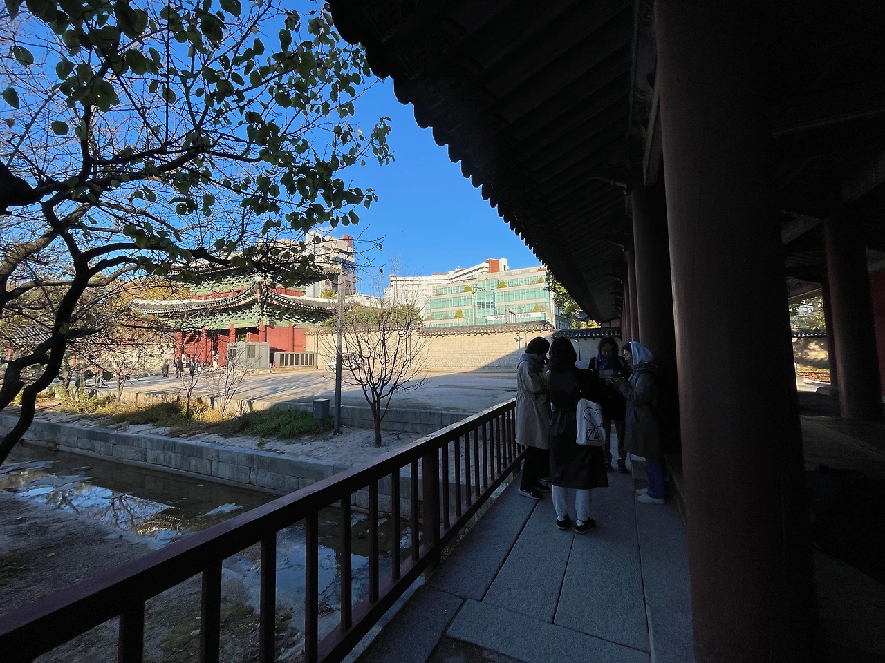 231110금 66차 창경궁 - 2.jpeg