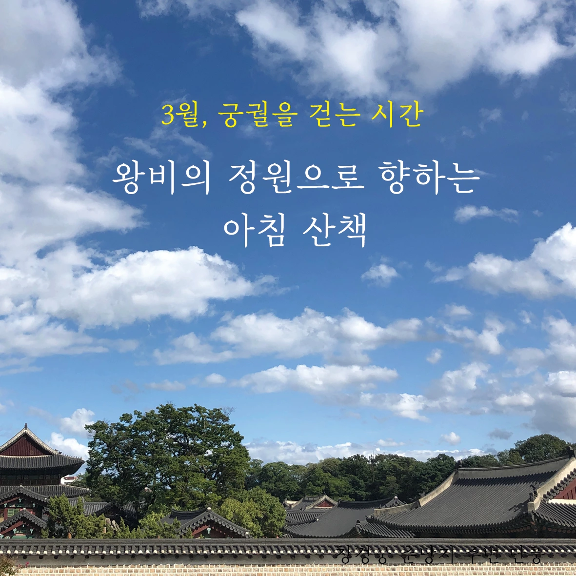 E240311 01a참가 모집 포스터(67차 창덕궁) 이미지01.jpeg