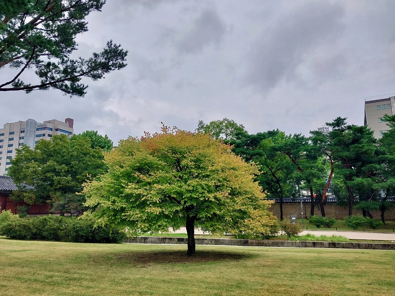 32차 궁걷시 - 7.jpeg